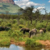 Отель Marataba Safari Lodge, фото 11