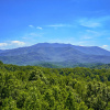 Отель Stairway To Heaven in Gatlinburg, фото 40