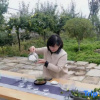 Отель Yunlixiang Homestay, фото 6