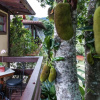 Отель Pousada Parador Santarém, фото 19