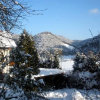 Отель Gasthof zur Bruthenne, фото 15