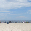 Отель Beachview 223 - 1 Br Condo, фото 6