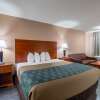Отель Econo Lodge Inn & Suites Cayce I-26 Airport, фото 6