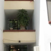 Отель Condominios Costa Sol, фото 1