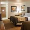 Отель Comfort Inn & Suites, фото 46