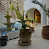 Отель Djerba Authentique, фото 14