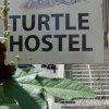 Отель Turtle Hostel, фото 1