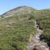 Отель Jotunheimen Feriesenter, фото 26