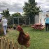 Отель Tailor Made Tekapo - Hostel, фото 12
