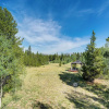 Отель Pet-friendly Fairplay Cabin w/ Hot Tub on 4 Acres!, фото 18