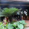 Отель Tam Tinh Vien Homestay, фото 6
