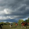 Отель Farm by the River Bed and Breakfast with Stables, фото 7
