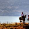 Отель Vered Hagalil Holiday Village, фото 3