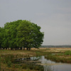 Отель Conveniently furnished chalet with a terrace near the Veluwe, фото 12