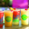 Отель Clevelander Hotel – Adults Only, фото 14