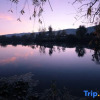 Отель Shaxi Crescent Lake Homestay, фото 9