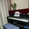 Отель Yunlu Music Homestay (Zhujiajiao Scenic Area), фото 14