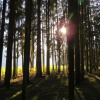 Отель Sportpension Alpenrose, фото 13