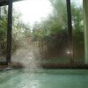 Отель Yamanakako-Asahigaoka-Onsen Hotel Seikei, фото 33