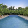 Отель Ranthambore Tiger Inn Comfort Resort, фото 10