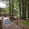 Отель Snowline Lodge - Condo 56 - Sleeps 4 - Close to Mt Baker Now has Wifi, фото 21