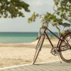 Отель Grand Roatan Resort, фото 21