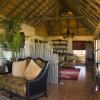 Отель Babson House @ Cheetah Conservation Fund, фото 14