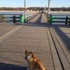 Отель Residenz Lausitz - Apartments für Urlaub mit Hund, фото 16