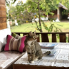 Отель Phupha Inn Resort, фото 15