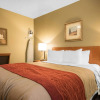Отель Comfort Inn & Suites, фото 3