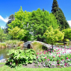 Отель Tanoa Aspen Queenstown, фото 4