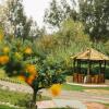 Отель Rancho del Inglés, фото 18