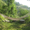 Отель Himalayan Orchard Huts, фото 2