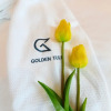 Отель Golden Tulip Haeundae Hotel & Suite, фото 15