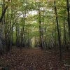 Отель Auberge la Grange de l'ile, фото 23