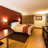 Отель Red Roof Inn San Antonio - Seaworld/ Northwest, фото 4