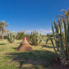 Отель L'Oliveraie de l’Atlas, фото 14