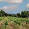 Отель Quinta de Chousas - Braga - Agrotourism, фото 1