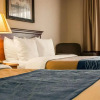 Отель Comfort Inn & Suites Diamondale – Lansing, фото 41