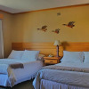 Отель Puelche, фото 21
