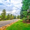 Отель Peaceful Country Club Condo in the Pines, фото 1