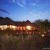 Отель Thanda Safari, фото 28