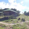 Отель Serengeti Ikoma Wild Camp, фото 8