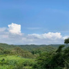 Отель Thomas Villas, фото 11