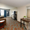 Отель Holiday Inn Niagara Falls State Park Entry, фото 5