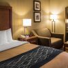 Отель Econo Lodge в Оррвилле