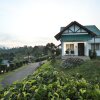 Отель The Leaf Munnar Resort, фото 1