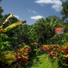 Отель La Dauphine Estate, фото 16