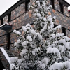 Отель Luxurious Residence at the Village Square, фото 3