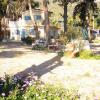 Отель Beachfront self-catering studios in Psatha Bay - 60km from Athens, фото 14